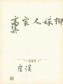 高家人嫁柳家1集