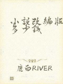 小说改编版权费多少钱