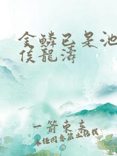 金鳞已是池中物侯龙涛