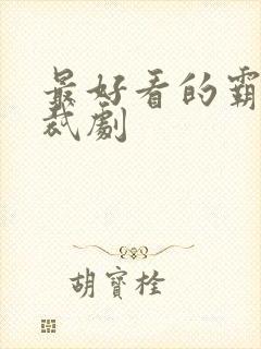 最好看的霸道总裁剧