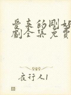 爱来的刚好电视剧全集免费观看