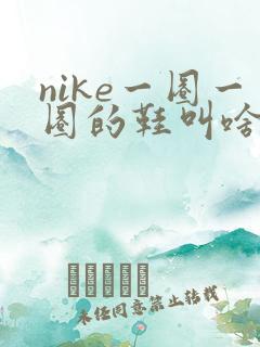nike一圈一圈的鞋叫啥