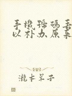 手机号码丢了可以补办原来的号码吗