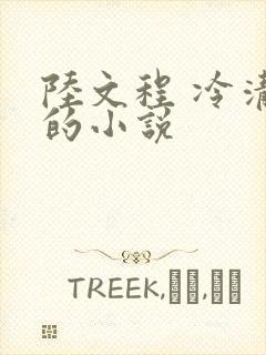 陆文程 冷清秋的小说