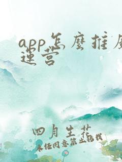 app怎么推广运营