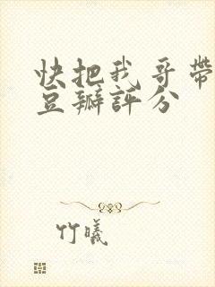 快把我哥带走 豆瓣评分