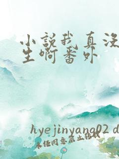 小说我真没想重生啊番外