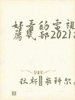 好看的电视剧推荐几部2021排行榜