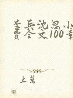 李兵沈思小说免费全文100章