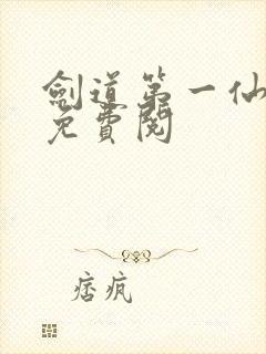 剑道第一仙苏奕免费阅