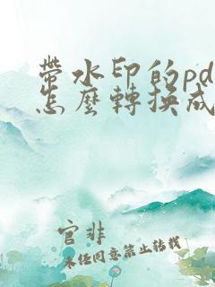 带水印的pdf怎么转换成word