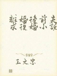 离婚后前夫哭着求复婚小说免费版