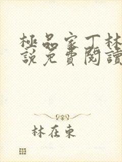 极品家丁林三小说免费阅读免费无广告