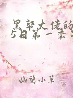 黑帮大佬的365日第一季星辰