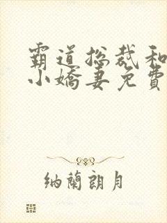 霸道总裁和他的小娇妻免费观看全集