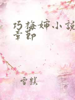 巧梅婶小说最新章节