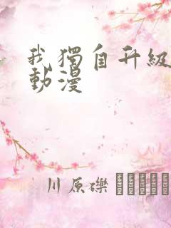 我独自升级高清动漫