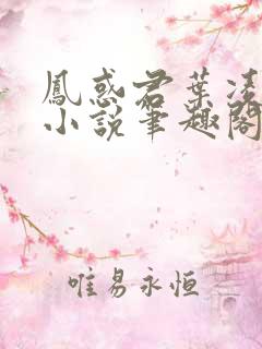 凤惑君叶凌天的小说笔趣阁