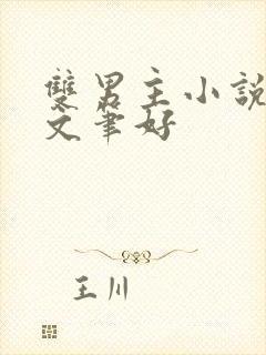 双男主小说推荐文笔好