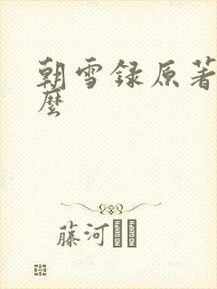 朝雪录原著叫什么