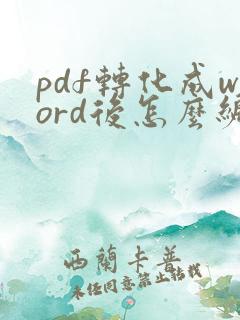 pdf转化成word后怎么编辑
