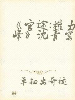 《官途:权力巅峰》沈青云