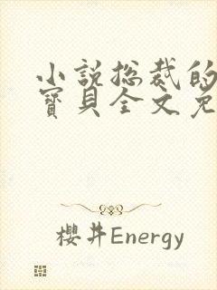 小说总裁的私有宝贝全文免费阅读