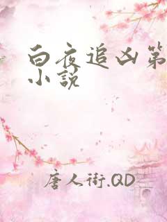 白夜追凶第二季小说