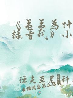 《弟弟为什么这样看我》小说