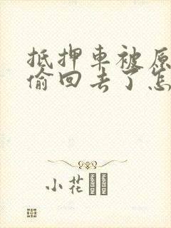 抵押车被原车主偷回去了怎么办