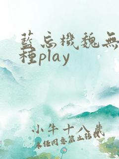 蓝忘机魏无羡各种play