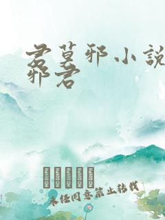 君莫邪小说异世邪君