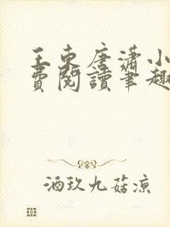 王东唐潇小说免费阅读笔趣阁