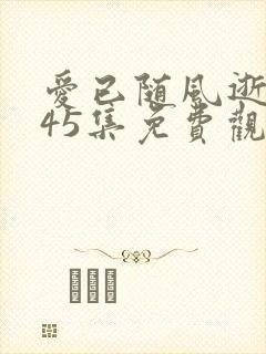 爱已随风逝短剧45集免费观看沈凝