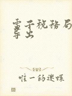 电子税务局发票导出