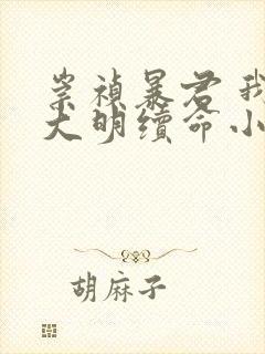 崇祯暴君 我为大明续命小说