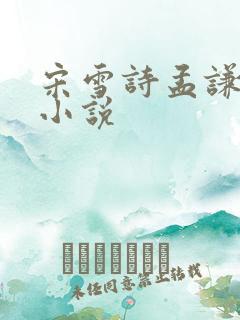 宋雪诗孟谦荀的小说