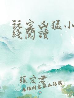 玩家凶猛小说在线阅读