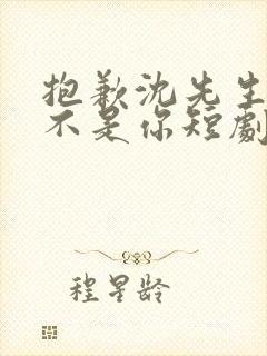 抱歉沈先生孩子不是你短剧