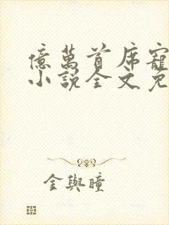 亿万首席宠上瘾小说全文免费阅读