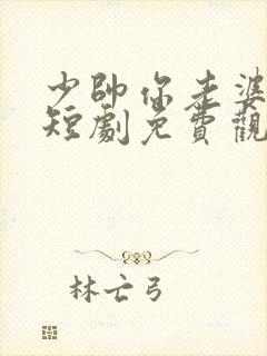 少帅你老婆又跑短剧免费观看