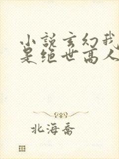 小说玄幻我真不是绝世高人