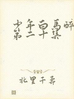 少年白马醉春风第二十集