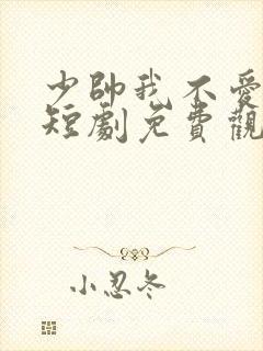 少帅我不爱你了短剧免费观看全集高清