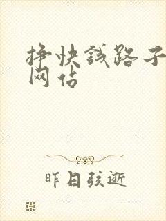 挣快钱路子偏门网站