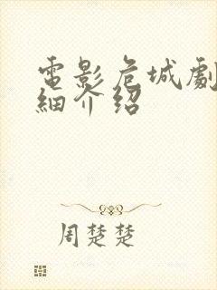 电影危城剧情详细介绍