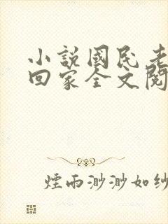 小说国民老公带回家全文阅读