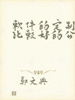 软件的定制开发比较好的公司