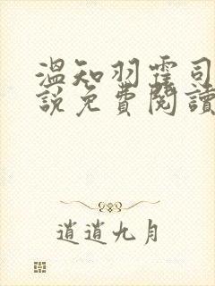 温知羽霍司砚小说免费阅读