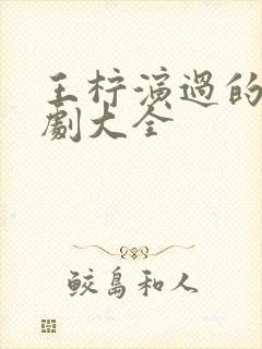 王柠演过的电视剧大全